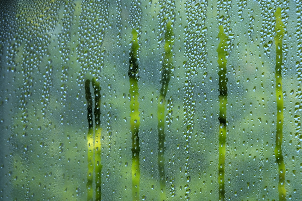 Mould and condensation