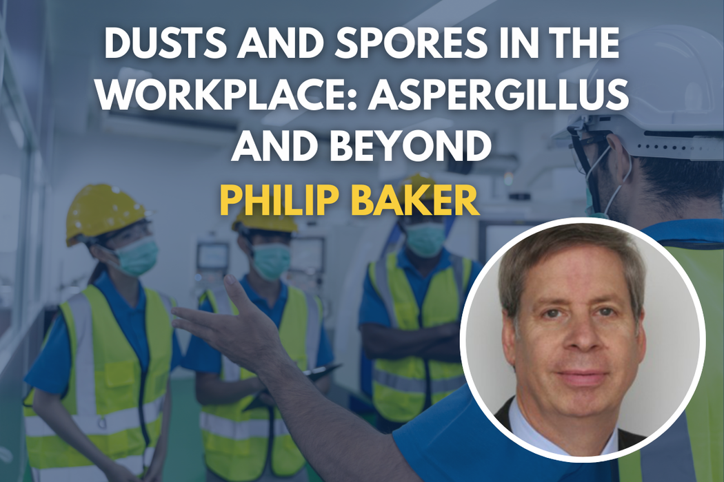 Dusts and Spores in the Workplace: Aspergillus and Beyond