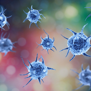 Zoonosis in a construction environment